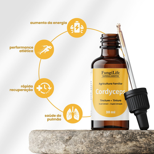Kit Foco E Energia Extrato Juba De Leão + Cordyceps 60ml Sabor Sem Sabor