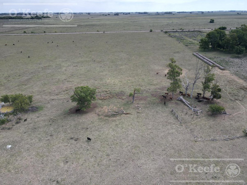 Chacra Productiva En Venta De 42 Has A 3.5 Km De Ruta 29 - Ranchos