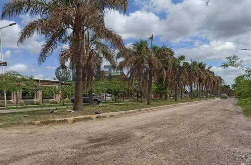 Imagen 5 de 8 de Venta Terreno En Funes City Escriturado