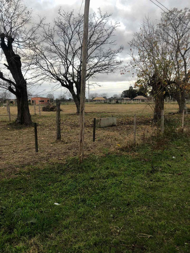 Imagen 9 de 10 de Se Alquila 8 Caballerizas Vareador Casa De Casero