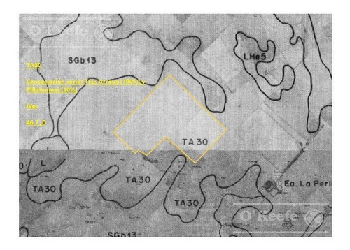 Imagen 17 de 20 de Campo De 155 Has En Venta En Benito Juarez - 100 % Agrícola