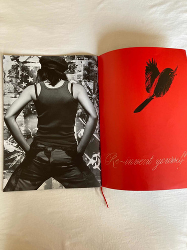 Madonna Re-invention World Tour / Tourbook /impecable 2004 (Usado)