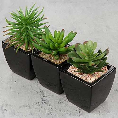 Pequeñas Suculentas Artificiales, Juego De 3 Plantas S...