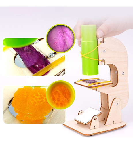 Juguete Educativo De Madera Diy Science Toys Para