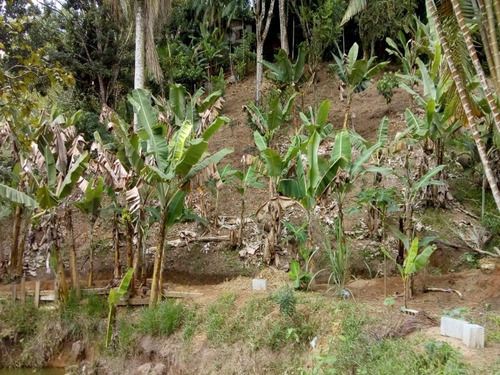 Chácara - 1533 - 32437717