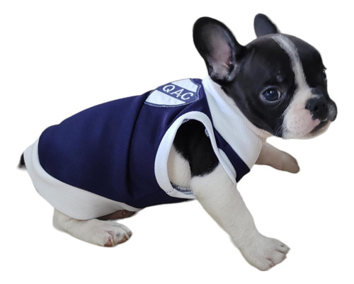 Camiseta De Quilmes Para Perros Y Gatos Talle M