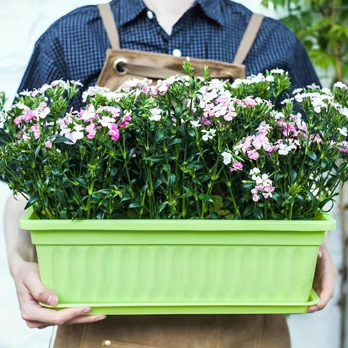 Caja De Ventana De Flores Plantador Home Rojo