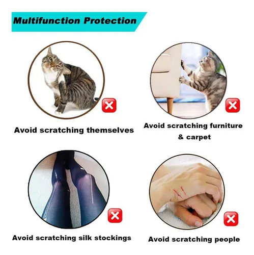 Cubiertas Transparentes Para Garras De Gato Tapas Para Uñas