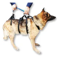 Comprar Arnes Perro Ayuda Rehabilitación Ortopedia Displacia Cadera 
