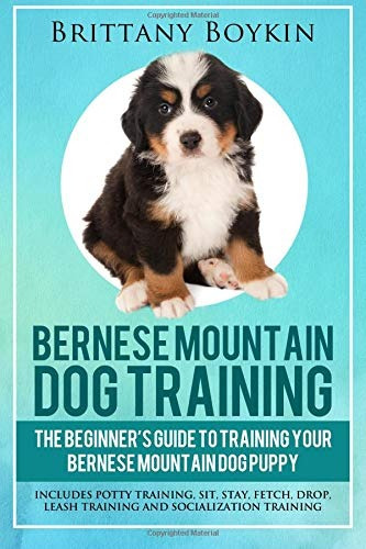 Bernese Mountain Dog Training La Guia Para Principiantes Par