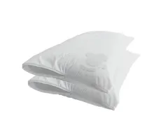 Comprar Kit 2 Capas Protetoras Impermeáveis Para Travesseiro 50x70cm