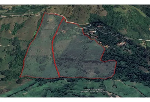 Vendo Finca De 30 Cuadras En Damasco Para Ganadería Cerca La Pintada
