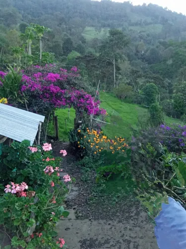 Deja Que El Campo Trabaje Para Ti : Finca En Quipile