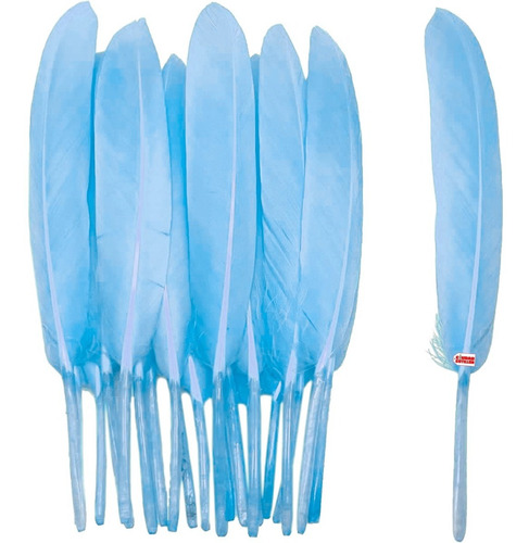 Pluma Pequeña 12cm Atrapasueño Souvenir Manualidades - Cc