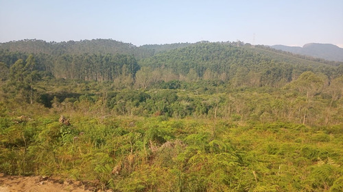 Imagem 5 de 10 de Terreno Em Otima Localização 1000 M2 Em Mogi Das Cruzes J.06