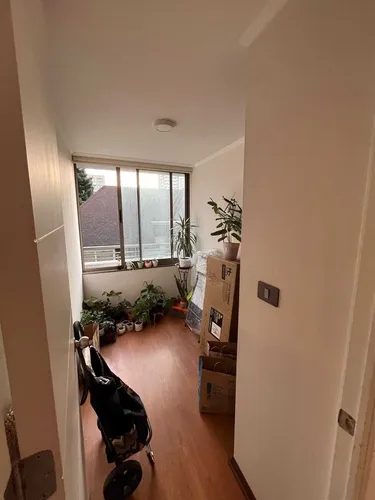 Arriendo Departamento En Concepción (91027)