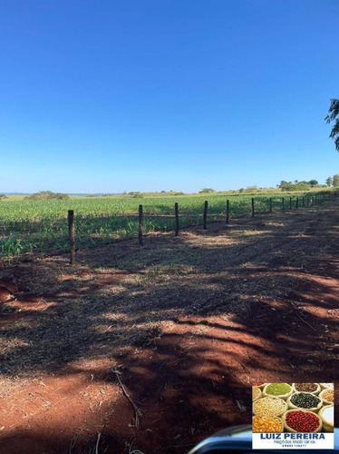 Imagem 5 de 5 de Fazenda À Venda Em Dourados Ms - De 535 Hectares (dupla Aptidão) - 1718