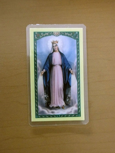 Virgen Del Rayo 100 Estampas Enmicadas Tarjetas Cromos