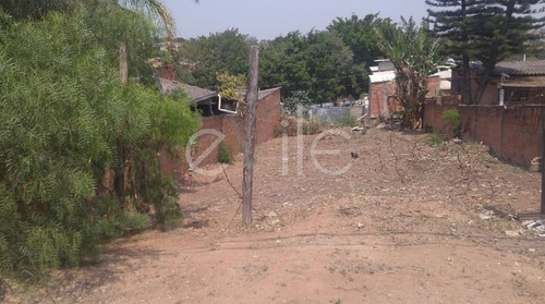 Terreno À Venda Em Vila Palmeiras Ii - Te005855