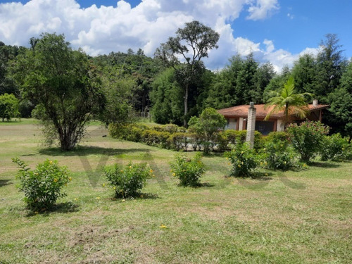 Imagem 14 de 30 de Sítio À Venda Em Juquitiba; - 288 - 69390789