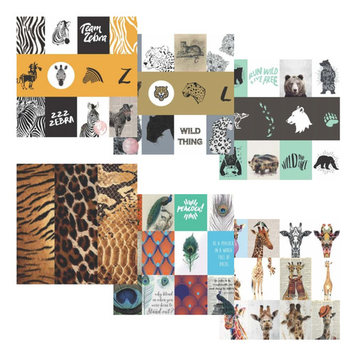 Kit Coleção Papel Cardstock Scrapbook  Modern Animal Print