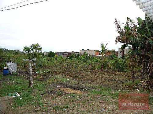Imagem 3 de 6 de Terreno À Venda, 6000 M² Por R$ 7.500.000,00 - Jardim Presidente Dutra - Guarulhos/sp - Te0017