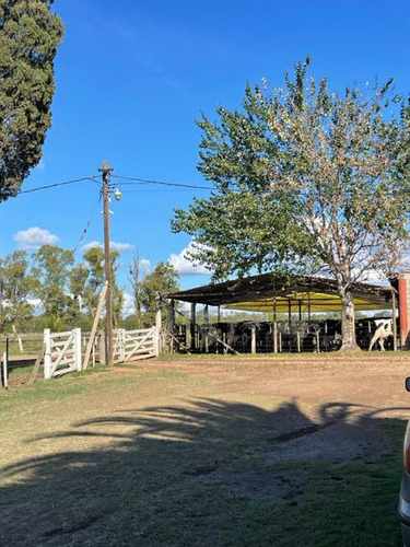 Excelente Campo En Venta A 5 Km Del Casco Urbano De Marcos Paz