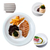 Comprar 50 Pratos Raso Evento Restaurante Protel Porcelana Schmidt