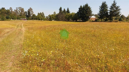 Imagen 2 de 5 de Agrícola En Venta En La Unión
