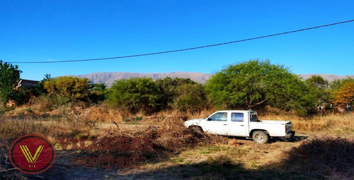 Imagen 5 de 6 de Terreno, 500 M2 Venta Loteo Bustos, Merlo San Luis