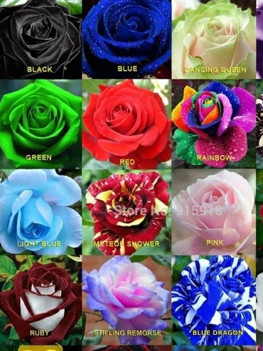 Semilla Mix Rosas Colores Varios