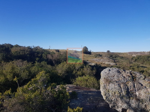Imagen 6 de 14 de Chacra 10 Hás En Garzón
