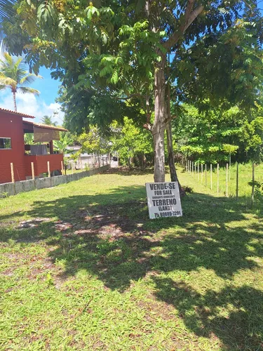 Terreno Morro De São Paulo Bahia