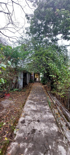 Se Vende Terreno En Centro De Concepcion