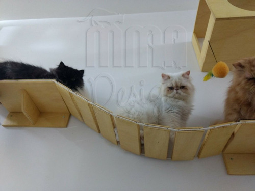 Imagem 2 de 2 de Passarela Com Ponte De Corda Gg Para Maine Coon
