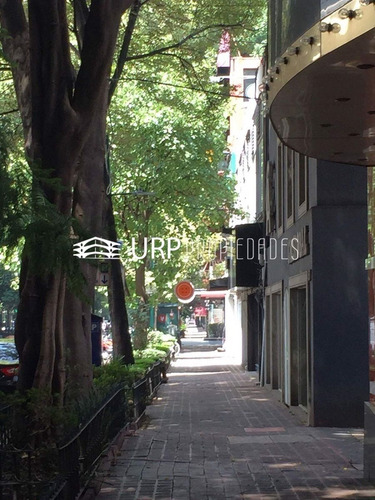 Casa C/uso De Suelo-oficinas En Renta A Una Cuadra Del Ángel De La Independencia