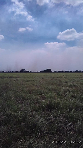 Imagen 4 de 8 de Finca En El Pao, El Baúl, Cojedes, De Oportunidad