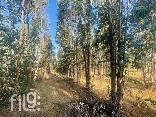 Venta De Terreno En San Nicolás Naturaleza Y Tranquilidad
