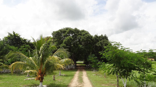 Gran Rancho En Venta En Buctzotz