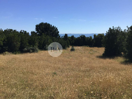 20939 - Sitio En Isla Quihua