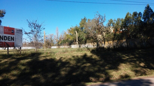 Lote En Bº Semicerrado El Álamo, La Bota