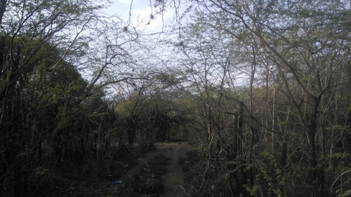 Terreno De 382,000 M2 En Bani, Prox. Carretera Sanchez