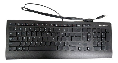 Teclado Lenovo Sk-8825 Ingles (keyboard) Usb Color del teclado Negro