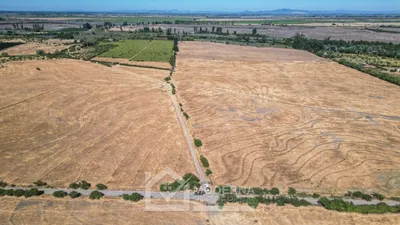 Agrícola en venta