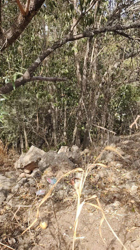 Remato Tres Terrenos En Huerta Grande, Sierras De Cordoba