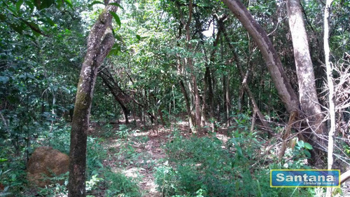 Oportunidade Chacara A Venda Em Caldas Novas R$ 90.000,00 - Ch0006
