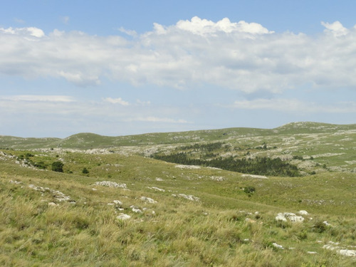 Campo En Venta En La Coronilla (ref: Atm-4270)