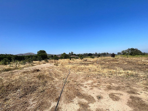 Arriendo Terreno 2.000m2 San Francisco De Limache