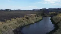 Comprar Tierras Predio La Toma De San Mateo Poncitlan Jalisco México