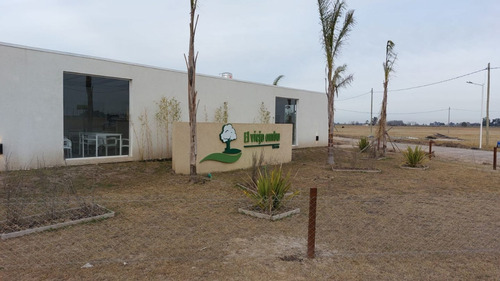 Imagen 4 de 30 de Lotes En San Vicente El Viejo Ombu